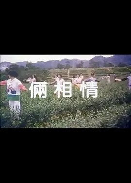 电影 茶山春色_瞓上你的床 / Liang Xiang Qing 1987 封面图/海报