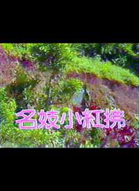 电影 名妓小红拂 台湾 1988 / Ming Ji Xiao Hong Fu 1988 封面图/海报